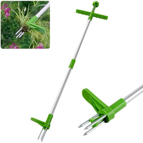 Image of Standing Weed Puller