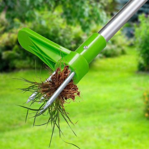 Image of Standing Weed Puller