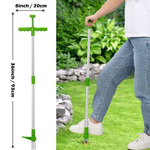Image of Standing Weed Puller